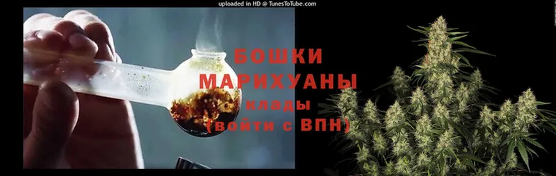 Бошки марихуана THC 21%  сколько стоит  Бирск 